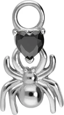 Produktbild von Chirurgenstahl Anhänger für Clicker SPINNE + KRISTALLHERZ