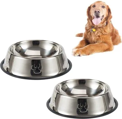 Immagine prodotto di Contenitori per alimenti per cani, contenitori in acciaio per alimenti per cani, set da 2 contenitori per alimenti per cani, contenitore in metallo grande da 1000 ml con ciotola antiscivolo gommata per animali domestici, contenitori per alimenti per cani