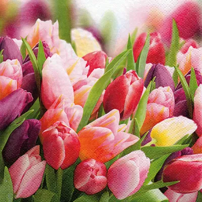 Immagine prodotto di Tovaglioli 33x33 cm - Pink & Violet Tulips