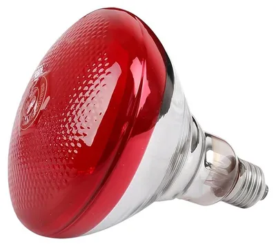Obrázek produktu pro Infračervené lampy, topení, 150 W, topné lampy pro plazy