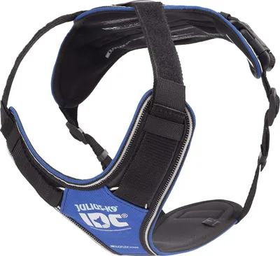 Obrázok produktu pre Julius-K9 Polstrovaný postroj pre psov IDC Longwalk modrá/sivá, veľkosť: M