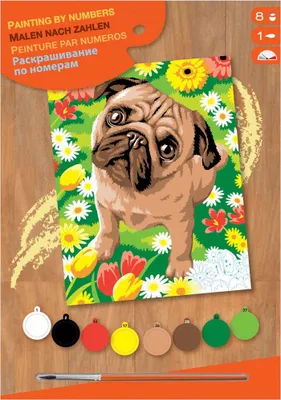 Image de Schilderen Op Nummer Pug Dog