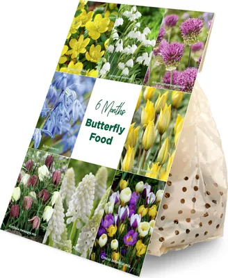 Produktbild von Mischung aus 50 - 6 Monate alten Blumen - Schmetterlingsfreundlich - Mischung aus 8 Sorten - Blumenzwiebeln - Frühlingsblüte - wächst von 5 bis 70 cm