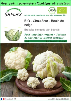 Image de SAFLAX Garden to go -- Chou-fleur - Boule de neige - 70 graines - Brassica