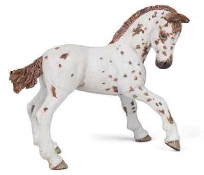 Produktbild von Papo Appaloosa Fohlen Braun, Sammelfigur, Film & TV-Serien, 140 g