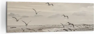 Produktbild von Bild auf Leinwand - Leinwandbild - Einteilig - Möwen Küste Boho - 160x50cm - Wand Bild - Wanddeko - Wandbilder - Leinwanddruck - Bilder - Wanddekoration - Leinwand bilder - Wandbild - AB160x50-4723
