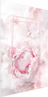 Produktbild von Posterpapier Poster - Fleeting Beauty 40x60 cm Blumen g-C-0159-ao-a