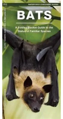 Obrázok produktu pre Bats