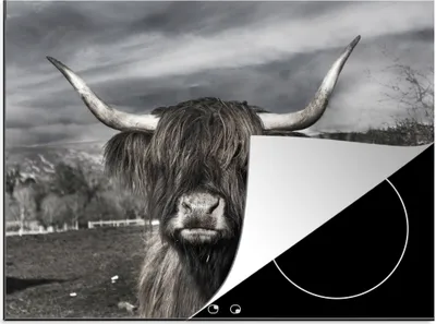 Produktbild von KitchenYeah© Herdabdeckplatte Schottischer Highlander - Tiere - Hörner , 71x52cm, Küche Deko, Glaskeramikkochfeld Herdabdeckung, Abdeckplatte fùr Kochfeld