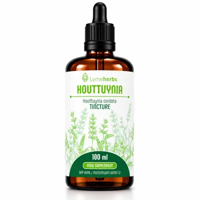 Produktbild von Houttuynia-Tinktur 1:2 (100ml), KI-generiertes Bild