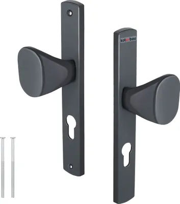 A pair of anthracite-colored door handles with escutcheons and two screws on a white background.