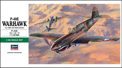 Immagine prodotto di P-40E Warhawk USAAF / 1:48