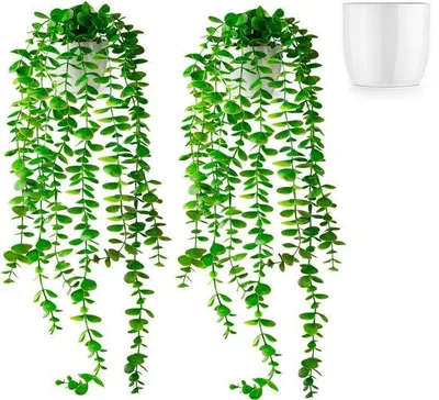Obrázek produktu pro Sada umělých eukalyptových rostlin, 2 ks, bílá keramika, 60 cm