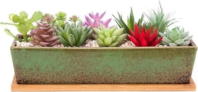 Produktbild von Famanu Pflanzentopf 30 cm rechteckig mit Drainage - Keramischer Blumentopf für Sukkulenten - Innen/Außen