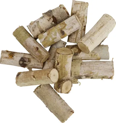 Produktbild von Dijk Holzscheiben Ø 5 cm 12 Stück