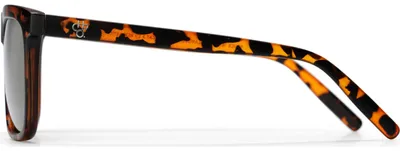 Image de CHPO Lunettes de soleil Bruce, Taille:ONESIZE, Coleurs:turtle brown / gold
