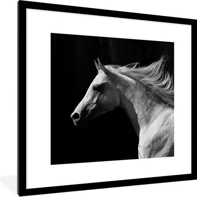 Produktbild von MuchoWow® Gerahmtes Poster Pferde - Nutztiere - Mähnen 40x40 cm - Poster mit Schwarzem Bilderrahmen Wandposter Rahmen Foto Bilder - Poster - Plakat im Rahmen
