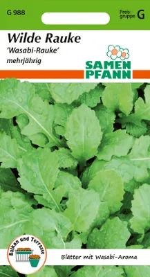 Artikelbild 1 von 'Wilde Rauke Wasabi' aus der Kategorie Rucola- / Raukesamen