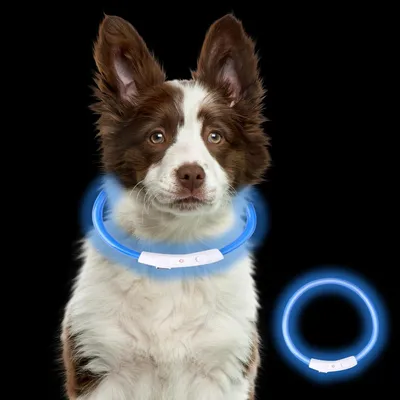 Produktbild von Led-Hundehalsband 1 Stück, USB-Aufladbar, Blinkend Mit 3 Sicherheitsmodi, Für Kleine Mittlere Und Große Hunde