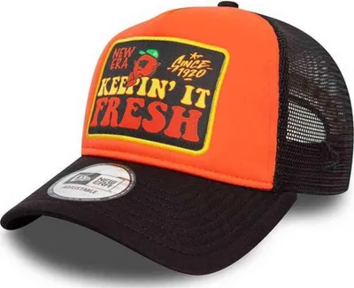 Produktbild von NEW ERA NE Patch Trucker Newera DOR DOR