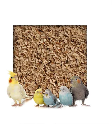 Produktbild von 5 kg Buchenholzgranulat Vogelsand Bodengrund Terrariensand Einstreu Terrariumsand Tiereinstreu Medium 3,0 - 5,0 mm