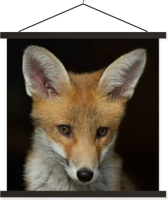 Produktbild von MuchoWow® Textilposter Fuchs - Porträt - Schwarz 90x90 cm mit schwarzem Rahmen - Magnetisches
