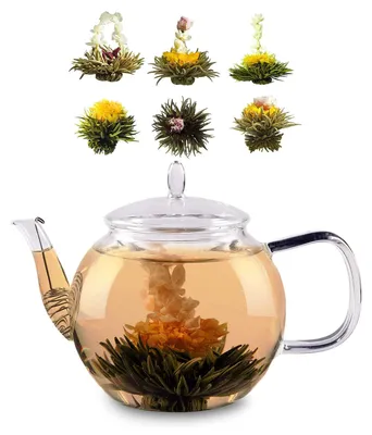Glas-Theepot 800ml mit Teesieb + 6 Teeblumen Schwarztee
