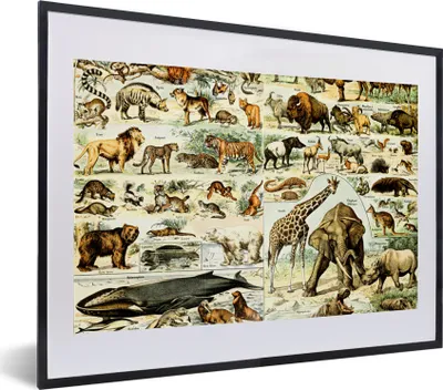 Produktbild von MuchoWow® Gerahmtes Poster Tiere - Giraffe - Löwe 40x30 cm - Poster mit Schwarzem Bilderrahmen Wandposter Rahmen Foto Bilder - Bilderrahmen - Poster im Rahmen