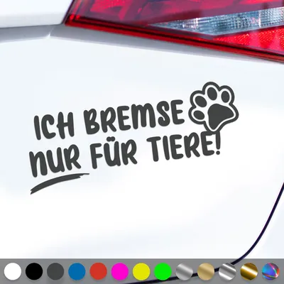 Produktbild von PantherPixel Bremsen Aufkleber Nur Für Tiere Tierrettung Tierschutz Sticker Auto Geschenkidee Farbe Dunkelgrau