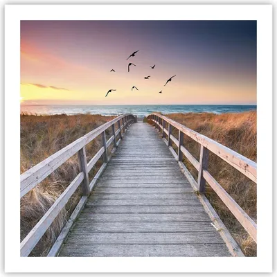 Produktbild von Poster - Poster ohne Rahmen - Eintrag auf der Strand - 60x60 cm - Wand Bild - Wanddeko - Wandbilder - Kunstposter - Wandposter - Bilder - Kunstdruck - Wanddekoration - Wandbild - P2XAC60x60-4647