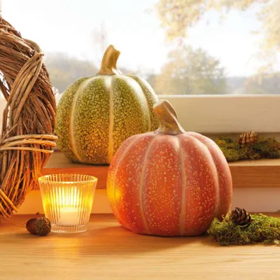 Produktbild von Kürbis "Orange & Grün", 2er Set