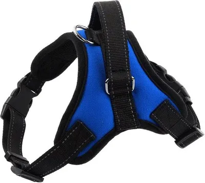 Immagine prodotto di Pettorina classica per cani - Blu M