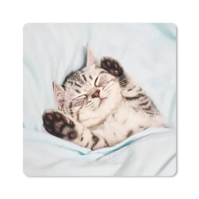 Produktbild von MuchoWow® Mauspad Mousepad Kätzchen - Bett - Pfoten - Mädchen - Kinder - Kinder - Kind 20x20 cm - Mousepads - Maus Mat - Pad - Mausunterlage - Desk Mat - Bureauartikeln