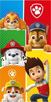 Produktbild von Paw Patrol Colors Badehandtuch, Strandtuch 70x140cm