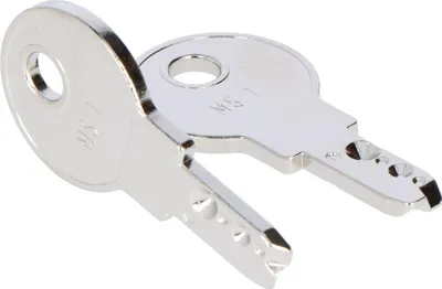 Produktbild von Eaton Ersatzschlüssel M22-ES-MS1 216416