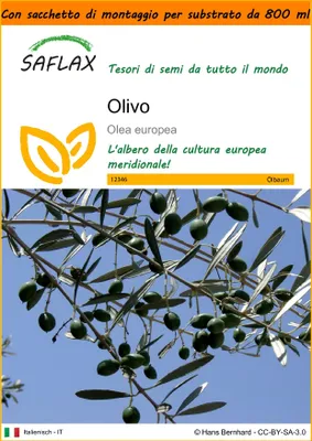 Immagine prodotto di SAFLAX Garden in the bag - Olivo - 20 semi - Olea