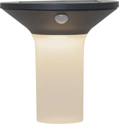 Produktbild von LED-Solar-Wandleuchte'Valta' mit Bewegungssensor