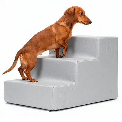 Produktbild von SPRINGOS Treppe für Hunde Katzen 3 Stufen - hellgrau
