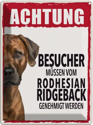 Produktbild von vianmo Blechschild 40x30 cm Tiere Achtung Rodhesian Ridgeback Tier Haustier Hund