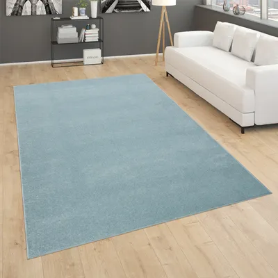 A light blue rug is laid out on a wooden floor in a living room setting with a white sofa and a shelf in the background.