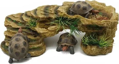 Produktbild von Famanu Versteck für Schildkröten und Eidechsen - Natürliches Treibholz-Design - Geeignet für Terrarien - 30x15x10 cm