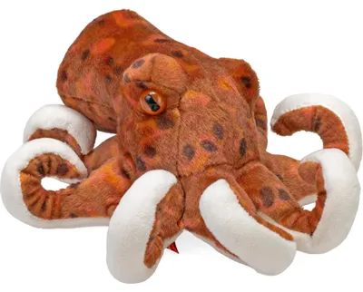Obrázok produktu pre Plyšová chobotnica – 20 cm