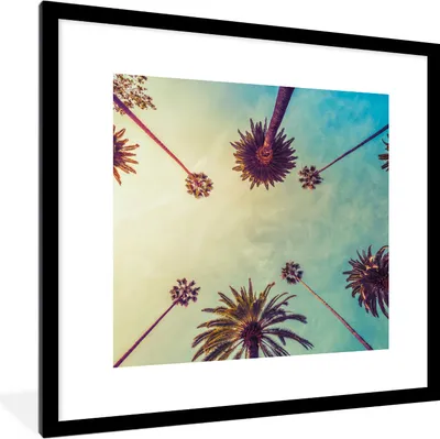Produktbild von MuchoWow® Gerahmtes Poster Palme - Himmel - Bäume - Sommer - Tropisch 40x40 cm - Poster mit Schwarzem Bilderrahmen Wandposter Rahmen Foto Bilder - Poster - Plakat im Rahmen
