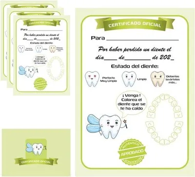 Produktbild von Zahnfee Magische Erinnerungen - Originelles Geschenk für Jungen und Mädchen - 10 Stück Grün