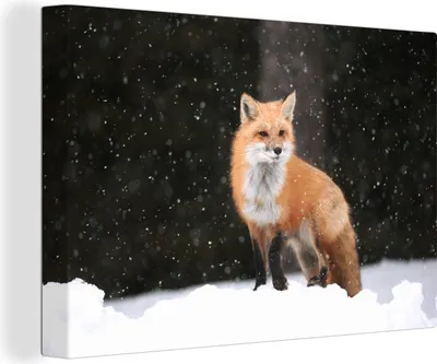 Obrázek produktu pro OneMillionCanvasses® - Výtisky na plátně - 140x90 cm, Liška - Sníh - Zima, nástěnné umělecké výzdoby výtisků na zeď