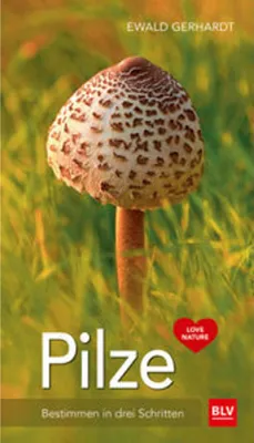 Produktbild von Pilze
