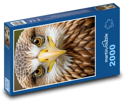 Produktbild von martinpuzzle - Puzzle 2000 Teile - Pfauenfantasie