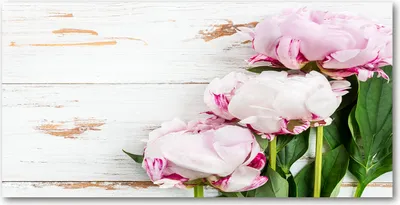 Produktbild von Tulup® Küchenrückwand Spritzschutz aus Glas -100x50 -Spritzschutz auf gehärtetes GlasDeko Blumen & Pflanzen Pfingstrosen