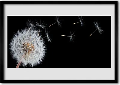 Produktbild von Bild 100x70 MDF-Rahmen Wandkunst Löwenzahn Blumen Natur