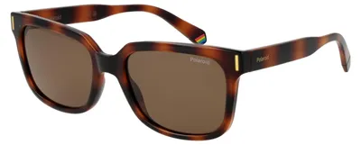 Immagine prodotto di POLAROID SUNGLASSES Occhiali da sole PLD 6191_S 54086SP